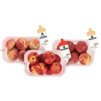 AH Nectarines schaal
