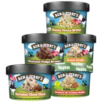 Ben & Jerry's mini's