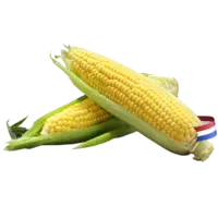 AH Maiskolf