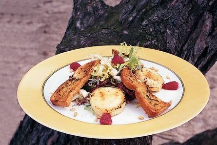 Salade met twee soorten geitenkaas en pestoboterhammen