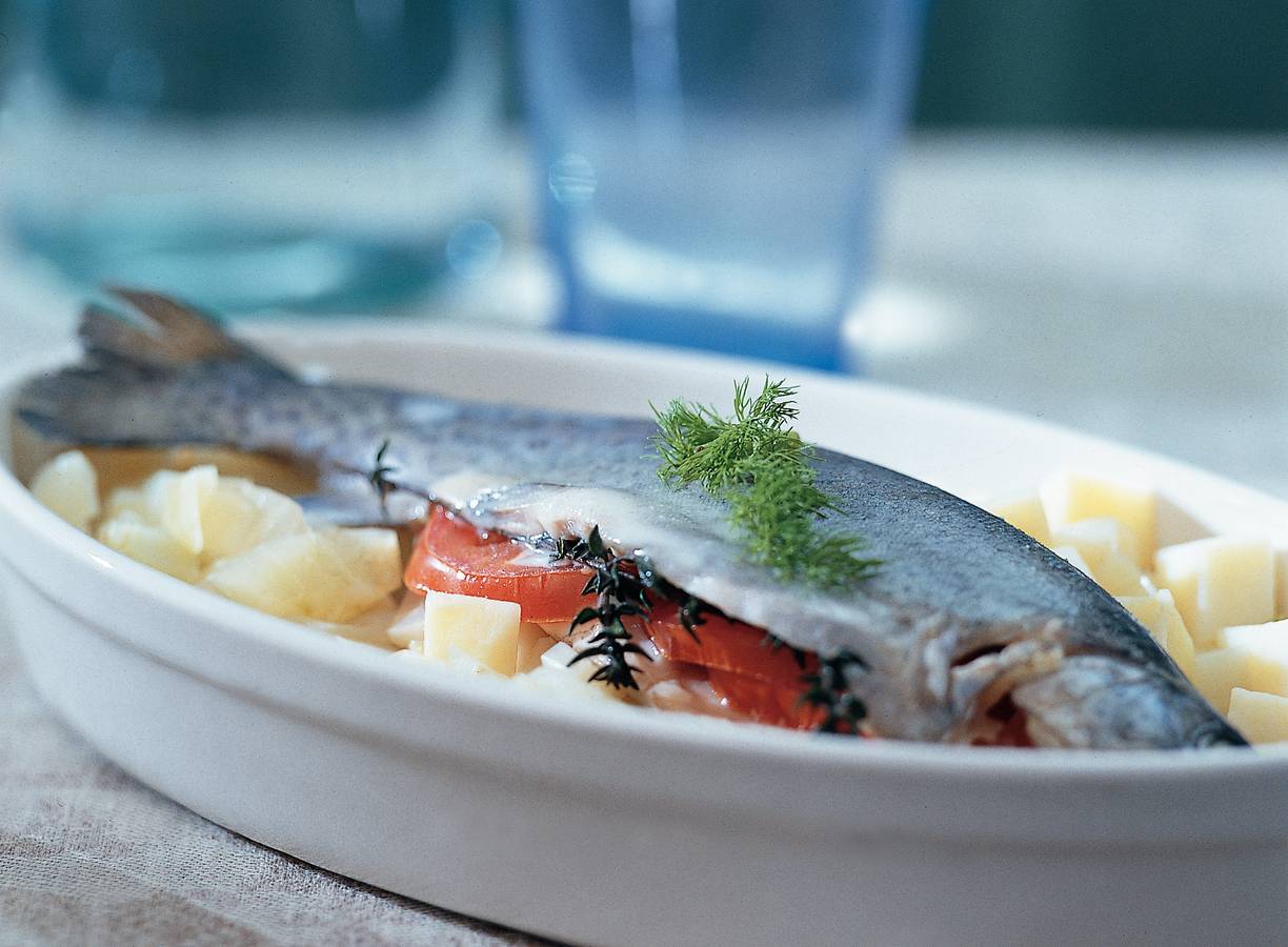 Forel met venkel