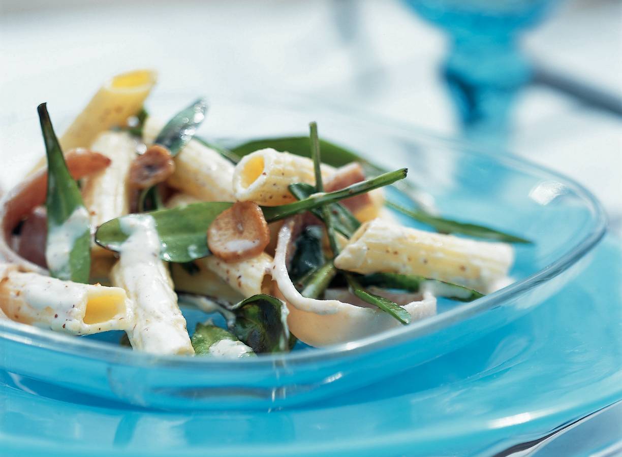 Pasta met zeeasters