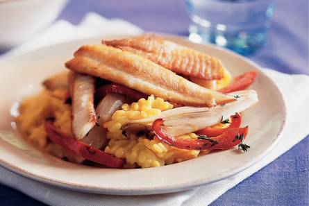 Risotto met gebakken tilapia en witlof