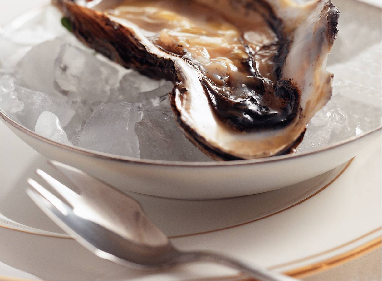 Pikante oester