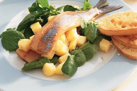Haring met aardappelsalade