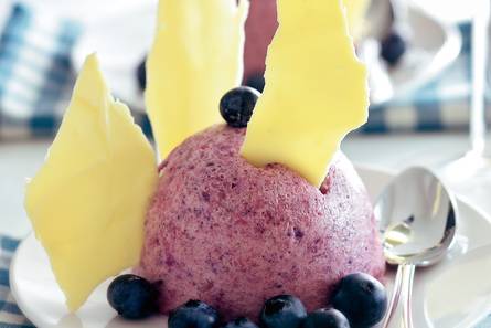 Bosvruchtenbavarois met witte chocolade