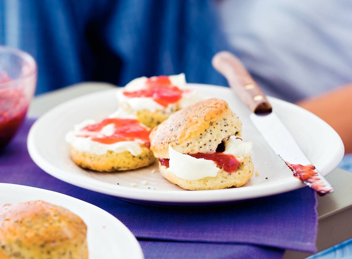 Maanzaadscones
