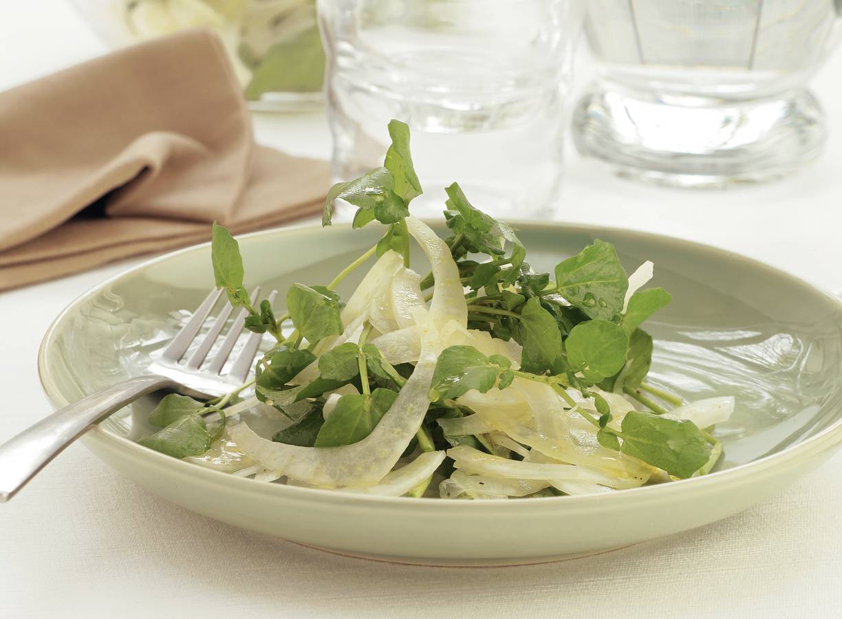 Venkelsalade met waterkers