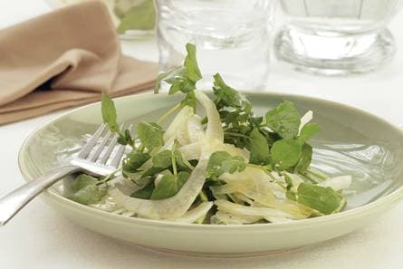 Venkelsalade met waterkers