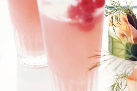 Bruisend cranberrysap