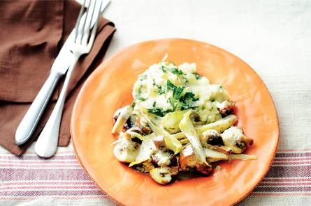 Gebakken witlof met romige kruidenpuree