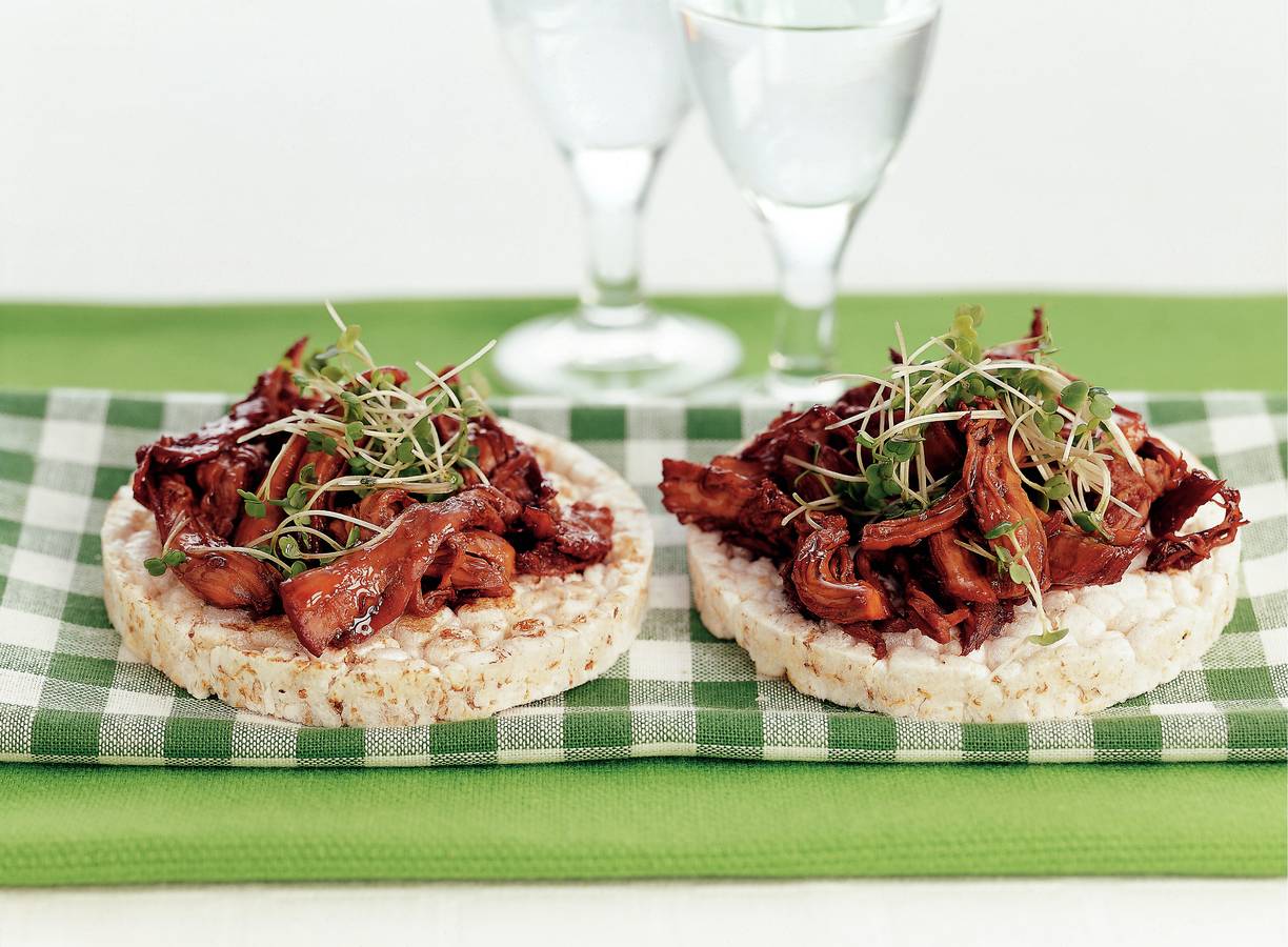 Rijstcrackers met teriyakikip