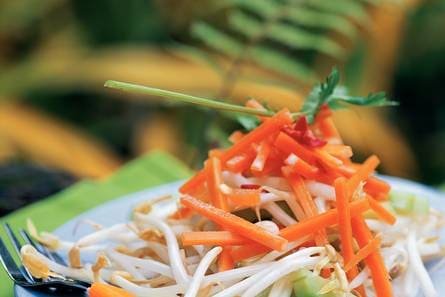 Salade met gember-kokosdressing