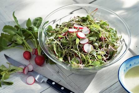 Salade van postelein en radijs