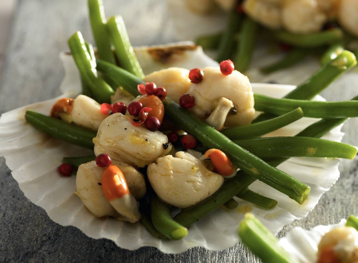 St. Jakobsschelpen met haricots verts