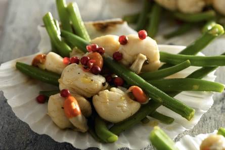 St. Jakobsschelpen met haricots verts