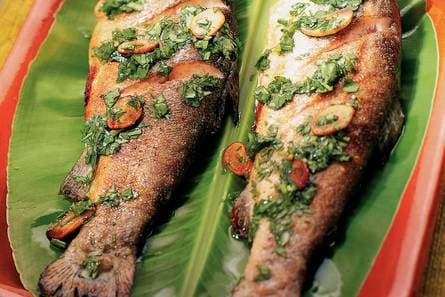 Forel met knoflook
