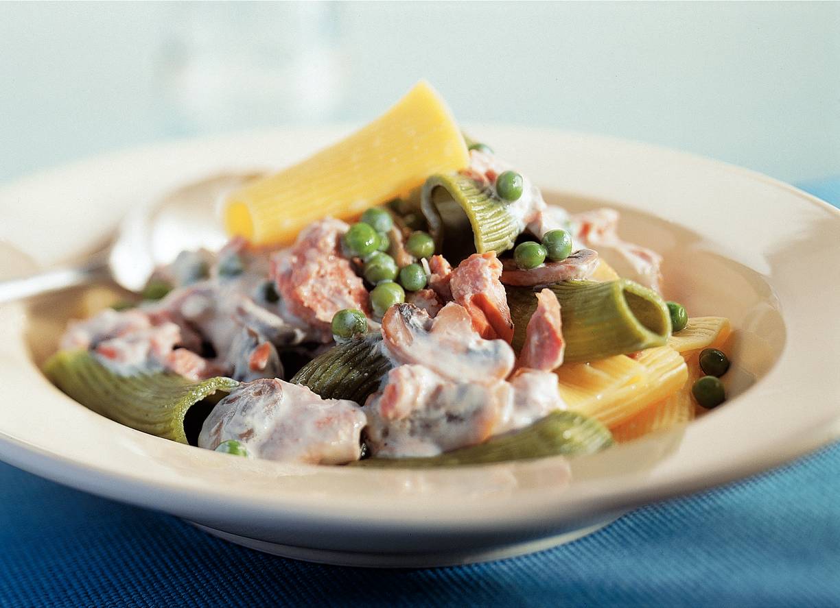 Maccheroni met zalmsaus