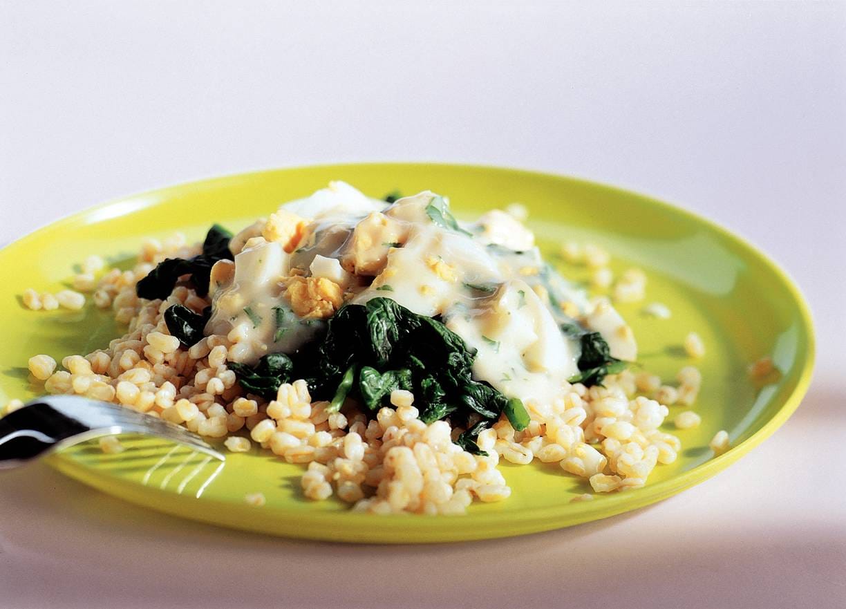Ragout met tuinkruiden