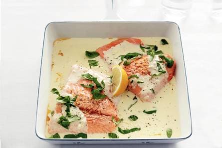 Zalmfilet met basilicum-roomsaus