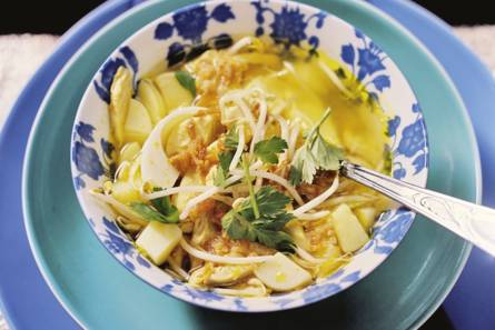 Soto ajam