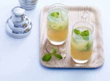 Mojito recepten