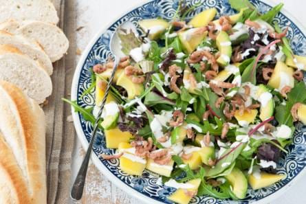 Avocadosalade met Hollandse garnalen en mango
