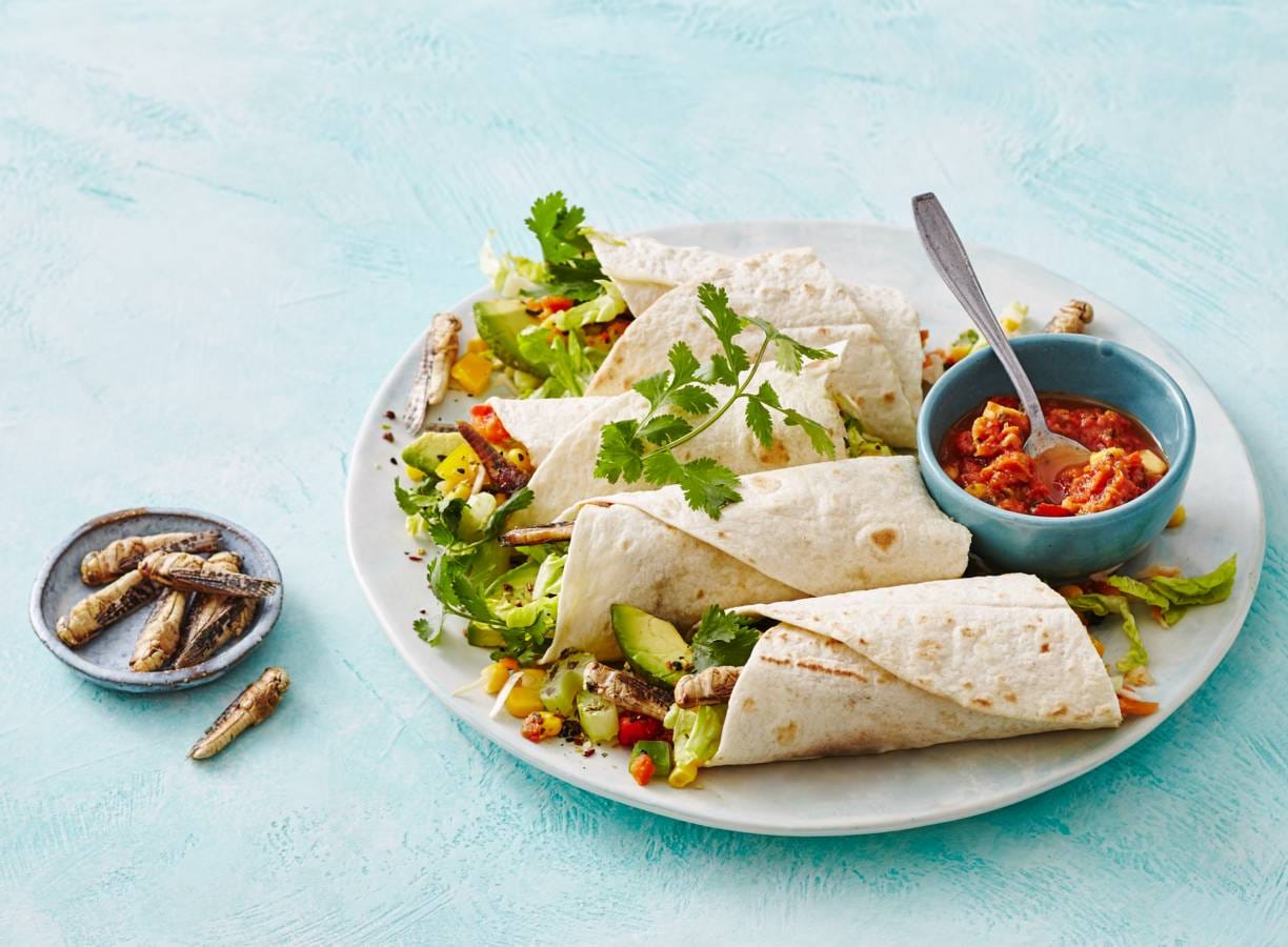 Wraps met sprinkhanen