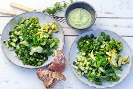 Groene maaltijdsalade