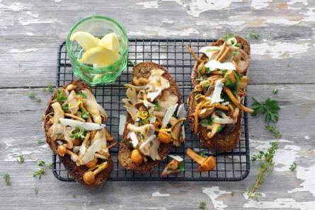 Paddenstoelen met tijm op toast