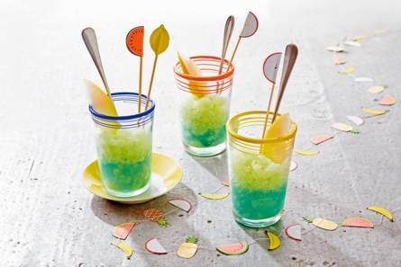 Meloenslush