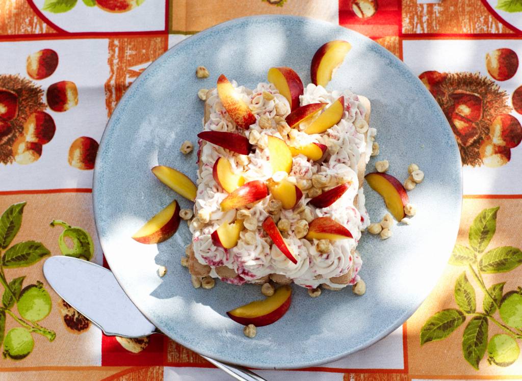 Wat kun je met nectarines maken?