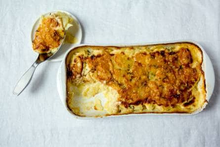 Aardappel-knolselderijgratin