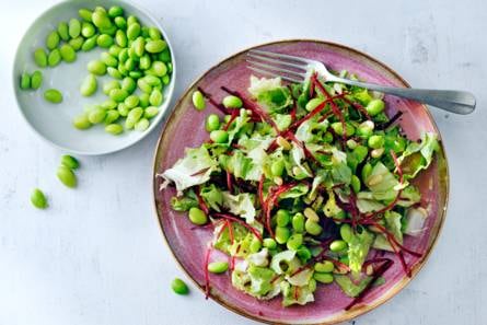 Oosterse salade met sojaboontjes en pijnboompitten