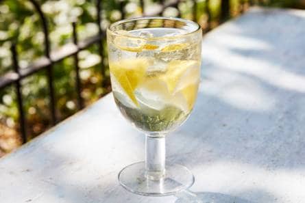 Lemon spritzer