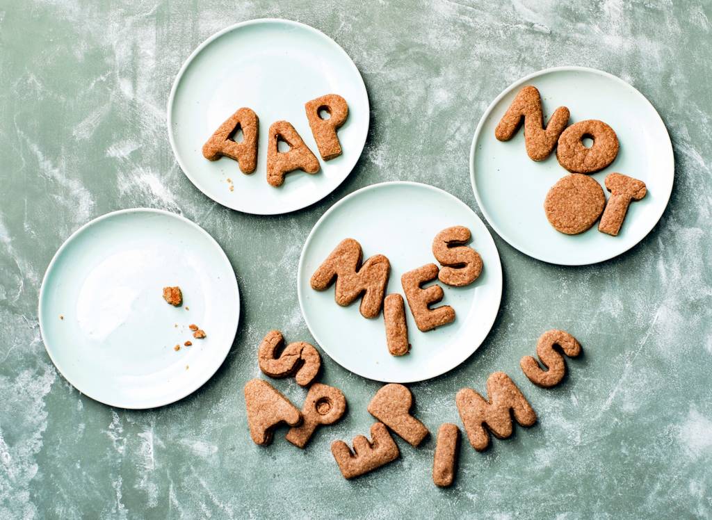 Wat zijn zandkoekjes?
