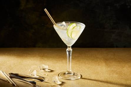 Martini Bianco met tonic