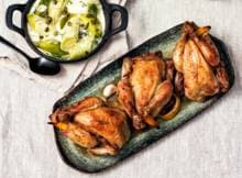 De malse poussin is uitermate geschikt om te vullen. Lekker met prei en een saus van vermouth.