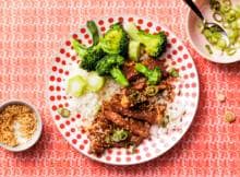 Teriyaki: saus én techniek