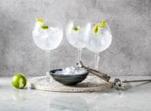 Het geheim van deze alcoholvrije gin-tonic? De Seedlip Garden 108 die 'm net als het origineel laat smaken. 