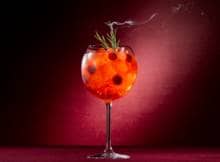 Proosten met Gall & Gall: de mix van eersteklas kruiden met een vleugje sinaasappelaroma geeft een unieke smaak aan deze aperitieflikeur. Dat maakt dit drankje het ideale ingrediënt voor een  heerlijke winterse Cranberry Spritz!