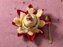 Nog meer feest wanneer dit toetje uit de keuken komt deze kerst! Deze mini-pavlova met stukjes kiwi, suikerspin en een suikerhamster wordt een grote hit aan de kindertafel.